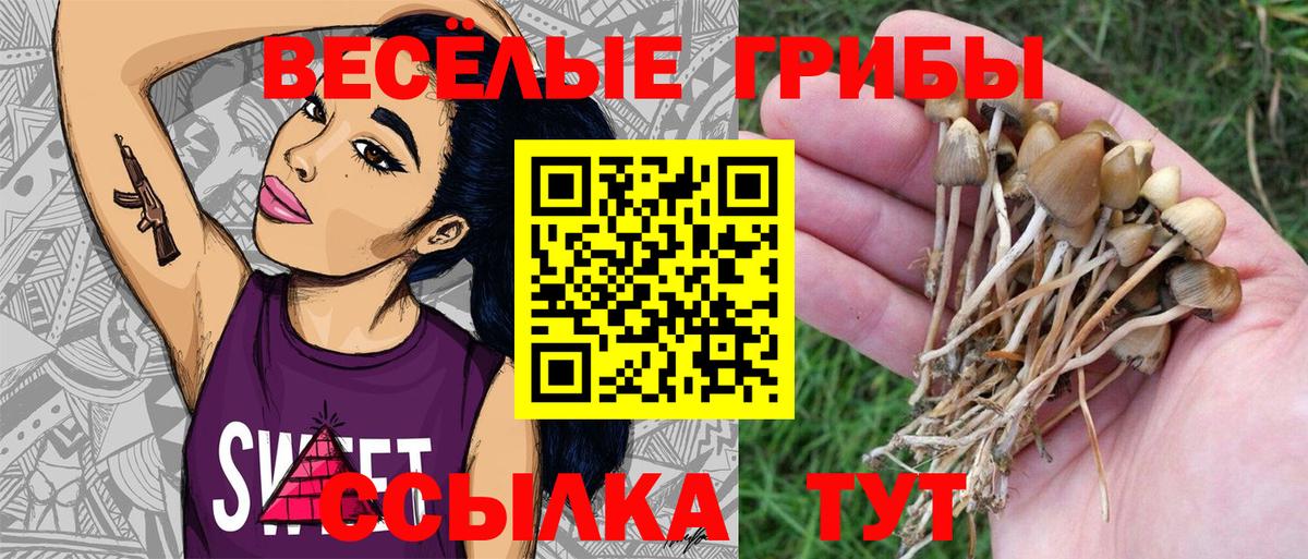 Галлюциногенные грибы MAGIC MUSHROOMS  Галлюциногенные грибы GOLDEN TEACHER  Вход с VPN  Азнакаево 